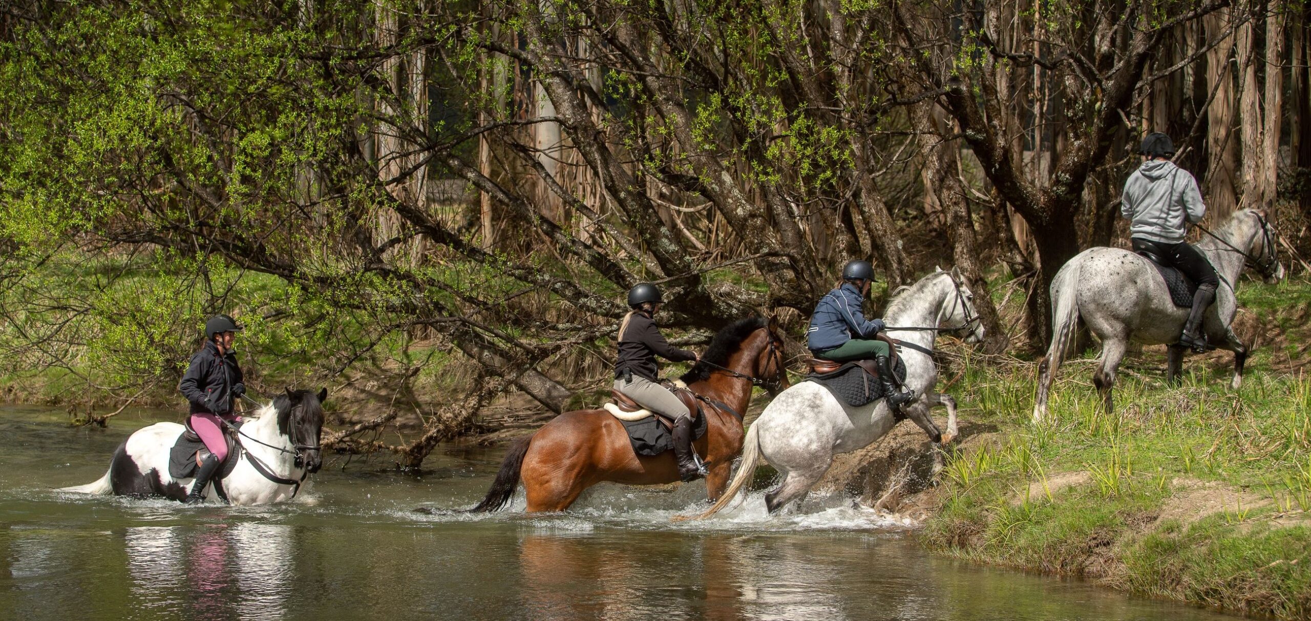 Horse Riding