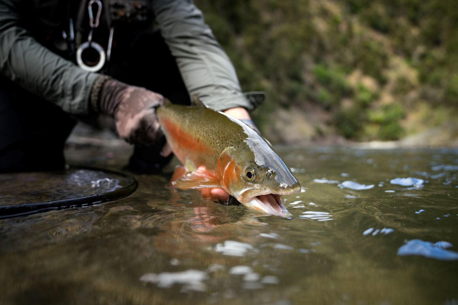 The New Zealand Fly Fishing Guidebook