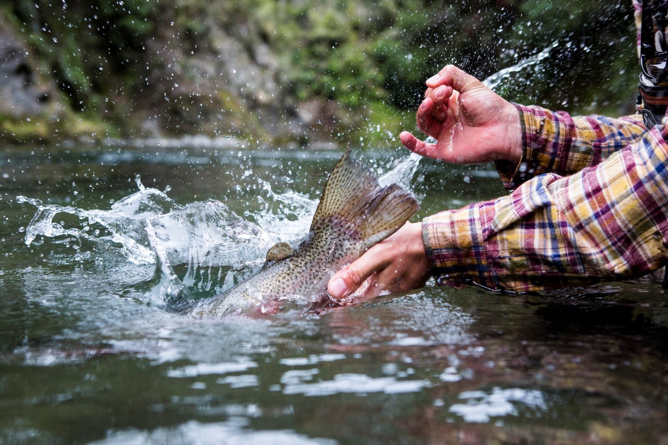 fly fishing trip to new zealand