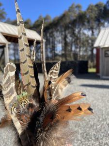 beautiful little pheasants feathers